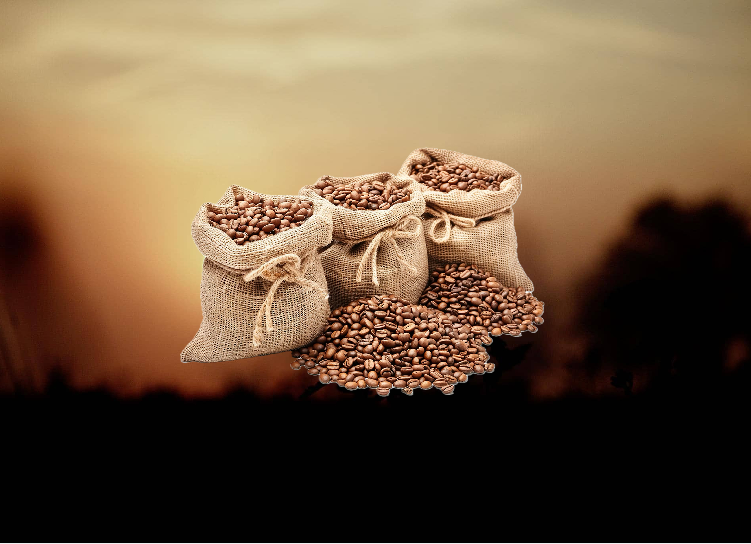 Venta de Carritos de comida móviles en Tlajomulco